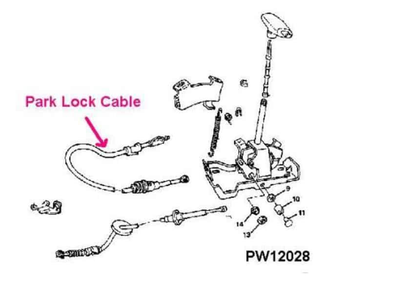 Cable: Park Lock for Auto's 82-92 F